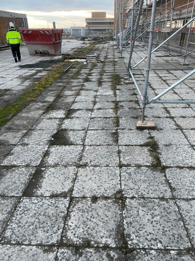 WhatsApp Bild 2024-04-05 um 21.09.51_09ed3699