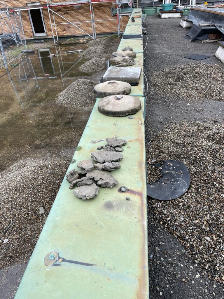 WhatsApp Bild 2024-04-05 um 21.09.51_eb4294d4